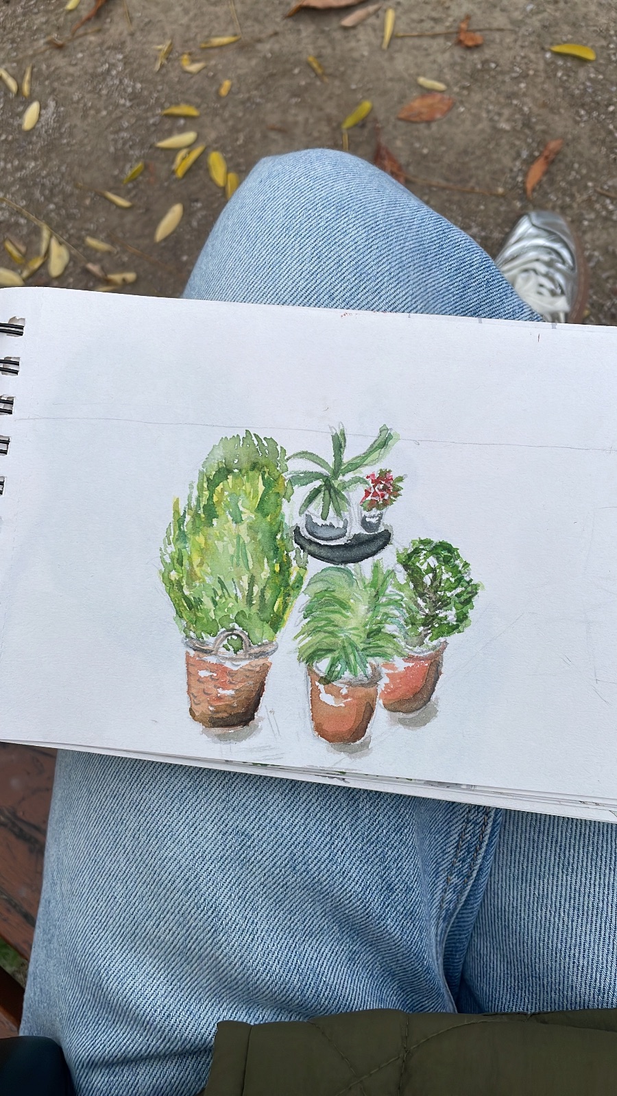 Croquis